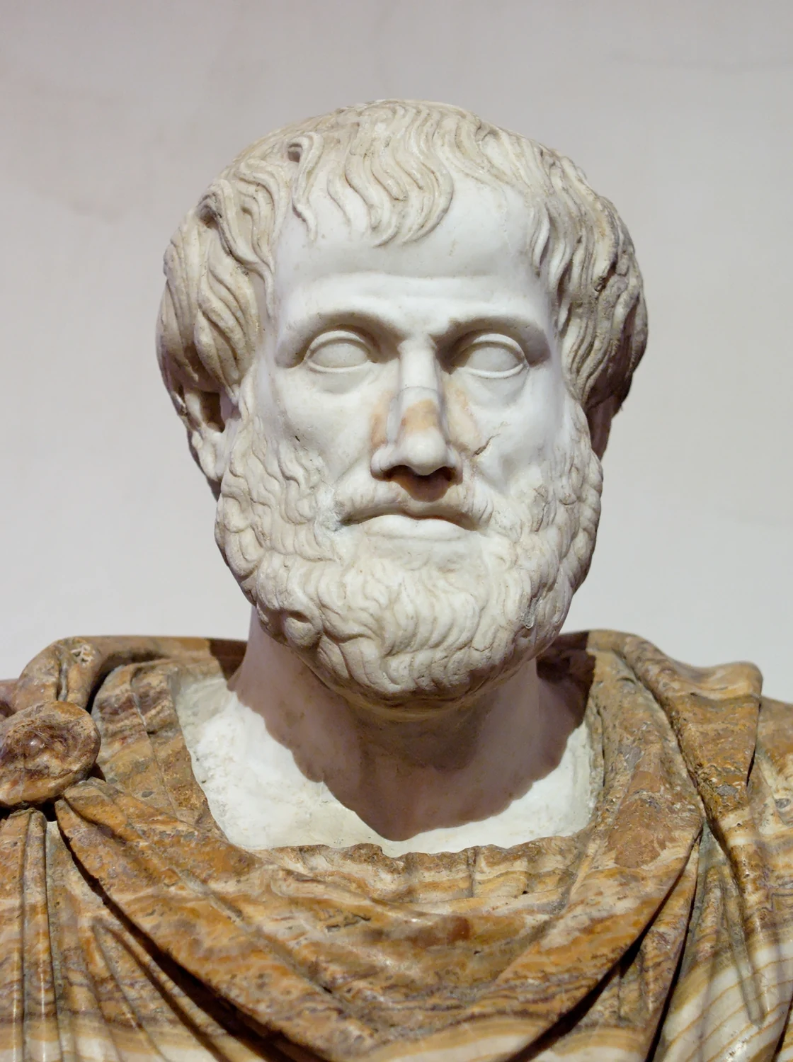 Aristotle, the first natural philosopher